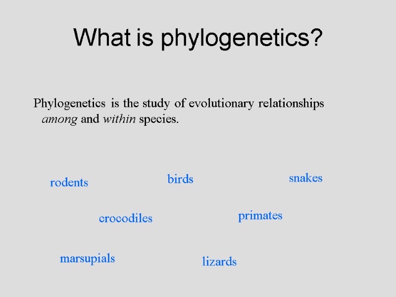 What is phylogenetics? Phylogenetics is the study of evolutionary relationships among and within species.